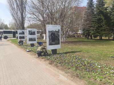 Более 95 тысяч цветов высадят в Приокском районе