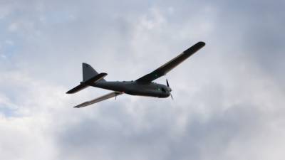 Украина поставит для нужд ВСУ дрон-разведчик "Лелека-100"