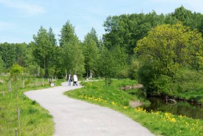 Кудровчан приглашают на весеннюю посадку деревьев в парке «Оккервиль»