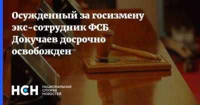 Осужденный за госизмену экс-сотрудник ФСБ Докучаев досрочно освобожден