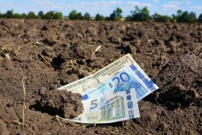 Большинство украинцев против продажи земли иностранцам – результаты опроса