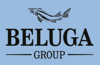 Капзатраты Beluga Group ожидаются на уровне 2,5-3 млрд рублей в год в ближайшие 4 года