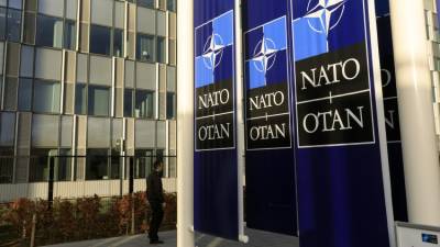 Депутат Старовойтов указал на отсутствие интереса украинцев к НАТО