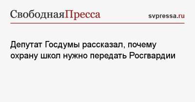 Депутат Госдумы рассказал, почему охрану школ нужно передать Росгвардии