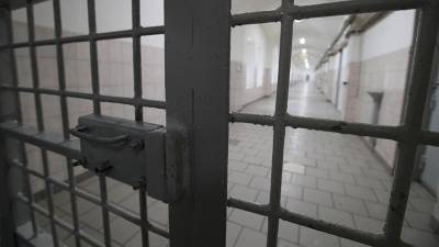 Осужденного за госизмену экс-сотрудника ФСБ досрочно освободят