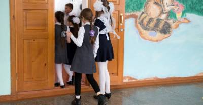 Подмосковные школы проверят на безопасность, а соцсети учеников – на признаки асоциального поведения