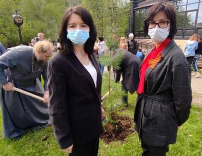 В Ивановском высадили кедры в память павших героев