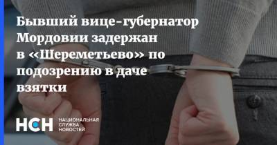 Бывший вице-губернатор Мордовии задержан в «Шереметьево» по подозрению в даче взятки