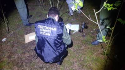 Тело 12-летней девочки обнаружено в лесополосе под Нижним