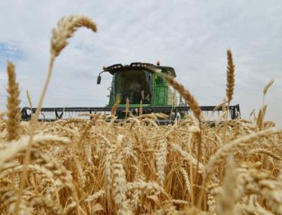 Латвия живет за счет российской пшеницы