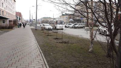 Южносахалинцы нелегально высадили деревья на улице Емельянова