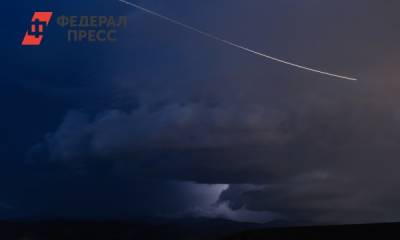 Юсаку Маэдзава - К Земле летит гигантский астероид - fedpress.ru - Москва - Япония