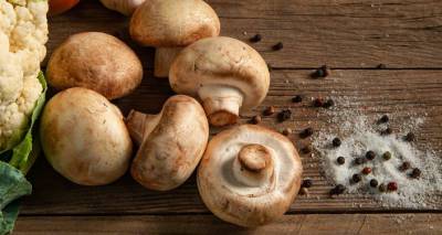 Польза и вред грибов: с чем нельзя сочетать капризный продукт