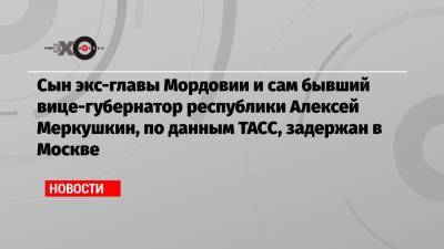 Сын экс-главы Мордовии и сам бывший вице-губернатор республики Алексей Меркушкин, по данным ТАСС, задержан в Москве