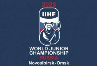 Для болельщиков молодёжного чемпионата мира по хоккею в России будет разработано уникальное приложение