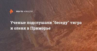Ученые подслушали "беседу" тигра и оленя в Приморье