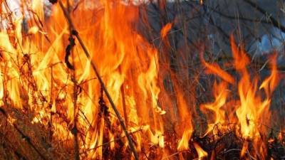 Огненная блокада: Тюмень оказалась в плену масштабных природных пожаров