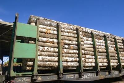 Трутнев: Госкомпания по экспорту круглого леса из России появится к концу 2021 года
