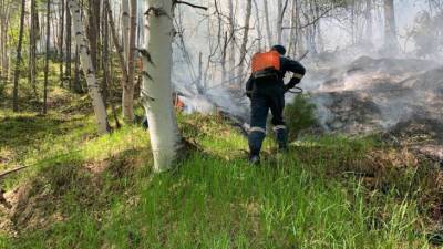 В Приморье отменили особый противопожарный режим