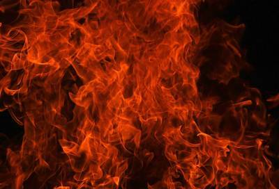 При пожаре в квартире на Петергофском шоссе погиб человек