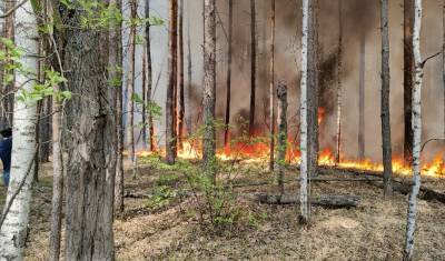 Число пожаров в Тюменской области увеличилось за сутки на 16