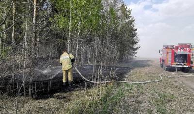 В Тюменской области число поджогов лесов увеличилось почти в два раза