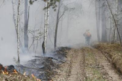 Пожарная обстановка в Юргинском районе стабилизировалась
