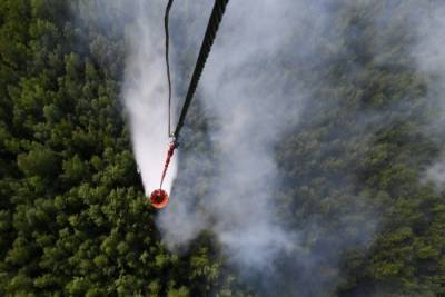 Число лесных пожаров растет в Иркутской области
