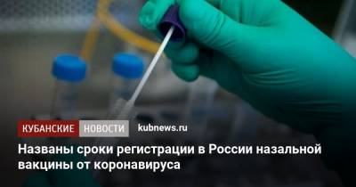 Названы сроки регистрации в России назальной вакцины от коронавируса