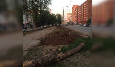 «Решили прикончить». В Уфе на бульваре Ибрагимова проводят вырубку деревьев