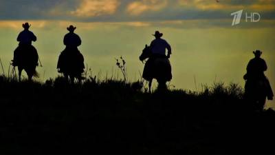 Генетические эксперименты фермера из Техаса ломают стереотипы о ковбоях даже в самой Америке