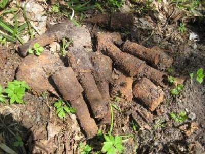 В Смоленской области за день уничтожили более 80 боеприпасов