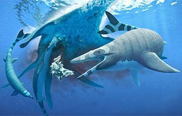 Ученые нашли в Марокко останки древнего морского «чудовища»