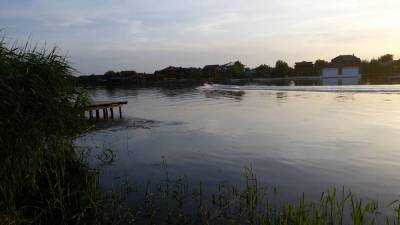 В Одесской области обмелели реки: нерест под угрозой, рыба может подорожать