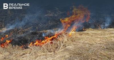 В Елабужском, Нурлатском и Черемшанском районах РТ чаще всего выявляли возгорание сухой травы