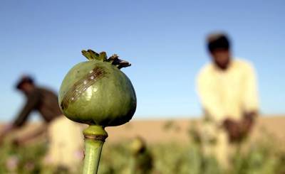 Американцы уходят, афганский наркотрафик остается