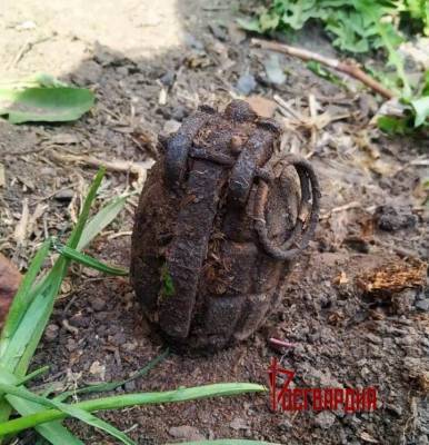 В Ишиме местный житель нашел в огороде британскую гранату Первой мировой войны