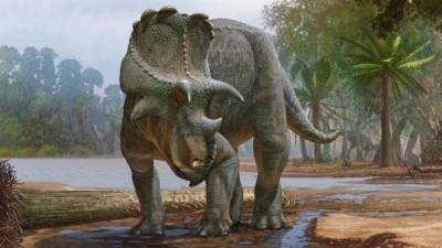 В США обнаружили останки рогатого динозавра возрастом 82 млн лет
