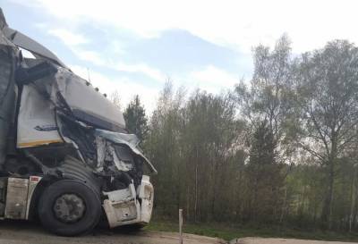 В Костромской области в ходе жесткой аварии смяло фуру