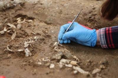 Доисторические гробницы были обнаружены при раскопках на площади в Стамбуле - unn.com.ua - Киев - Стамбул - Площадь