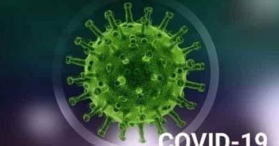 В украинской армии за сутки обнаружили только 20 случаев инфицирования коронавирусом