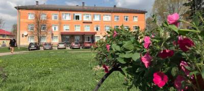 Власти райцентра Карелии украсили город цветами, несмотря на безразличие местных жителей