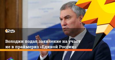 Володин подал заявление научастие впраймериз «Единой России»