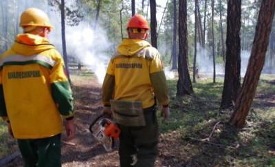 Ущерб от лесных пожаров в Курганской области уже превысил 150 млн рублей