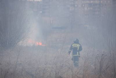 Виновнику одного из природных пожаров в Курганской области предъявили ущерб на ₽58 млн