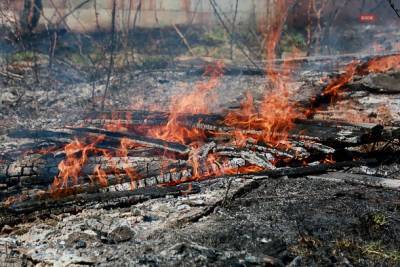 Жителей южных районов Коми предупредили о чрезвычайно высокой пожароопасности