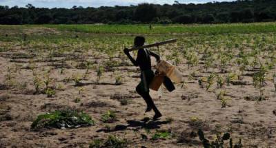 «Может начаться массовый голод»: Мадагаскар накрыла сильнейшая за 40 лет засуха
