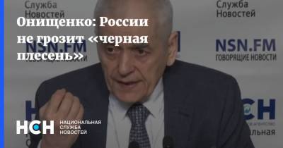 Онищенко: России не грозит «черная плесень»