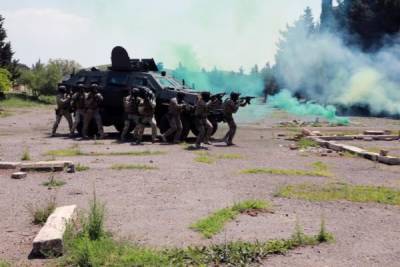 «Троянский след» — инструкторы США дали хорошую оценку грузинским военным
