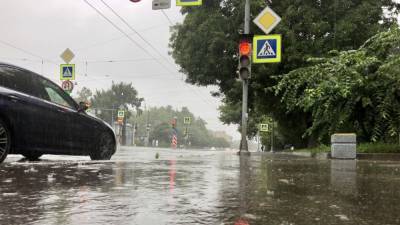 Управление МЧС по Петербургу предупредило об ухудшении погодных условий в субботу